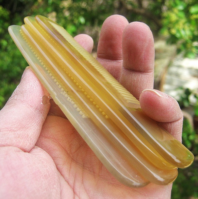 Combs For Female Natural Comb  - Hair Care Gift review and price
