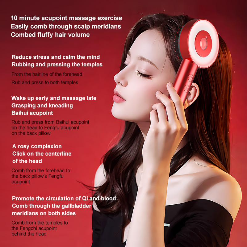 Portable Scalp Massage Comb, L - Hair Care Gift review and price